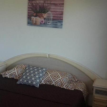 Apartament Mandree コスティネシュティ エクステリア 写真