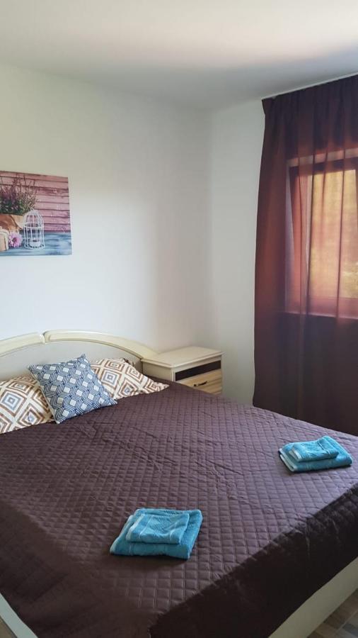 Apartament Mandree コスティネシュティ エクステリア 写真