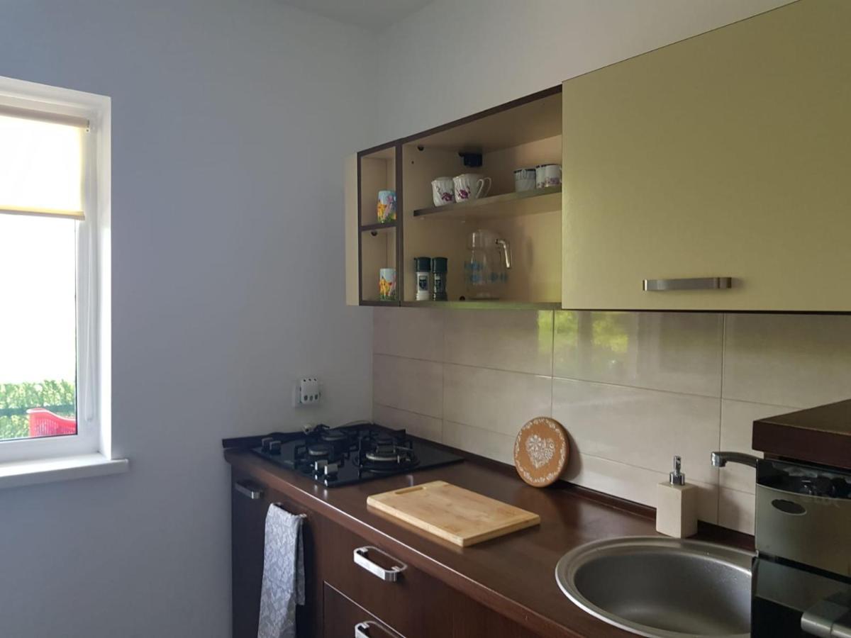 Apartament Mandree コスティネシュティ エクステリア 写真