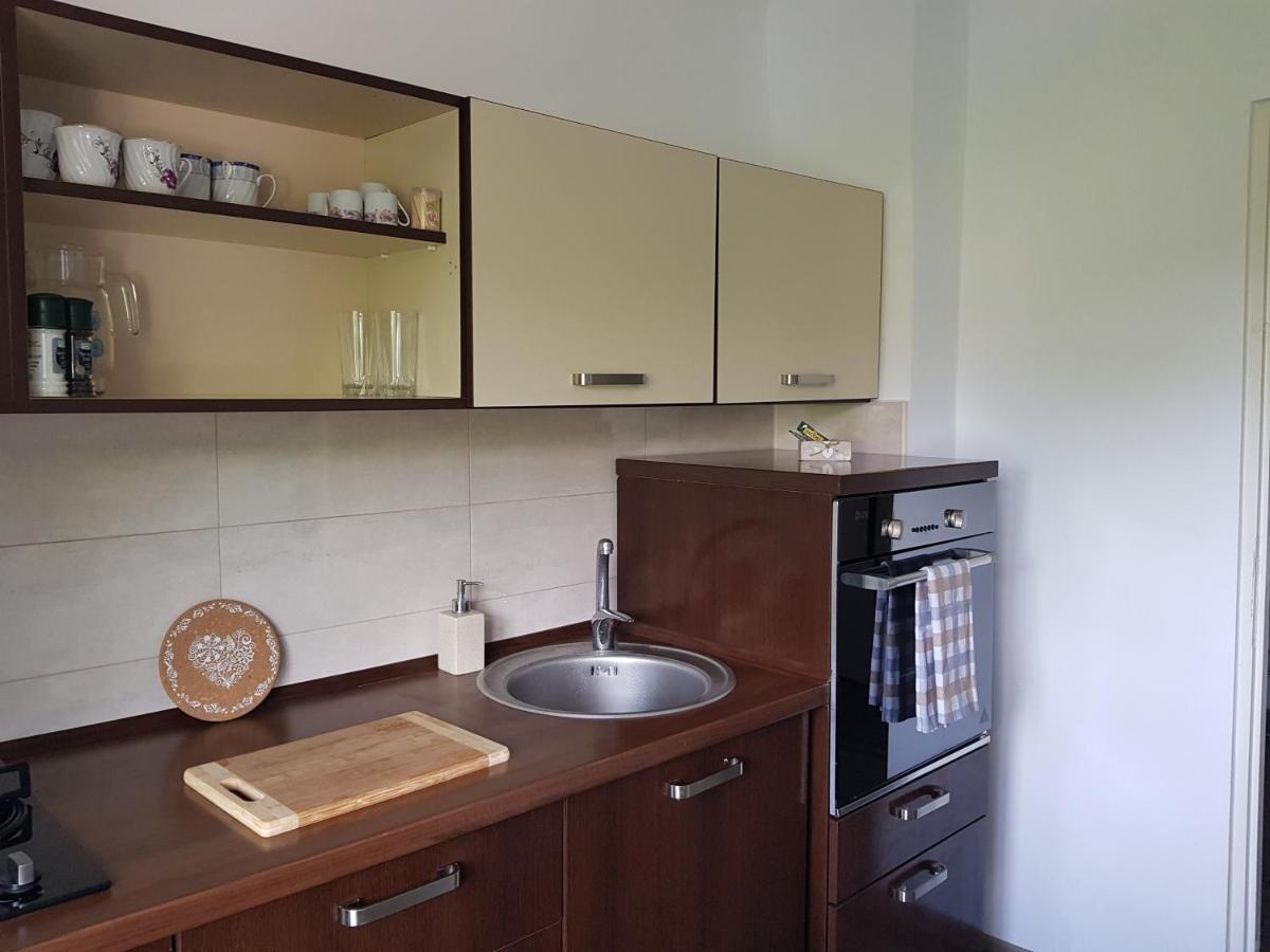 Apartament Mandree コスティネシュティ エクステリア 写真