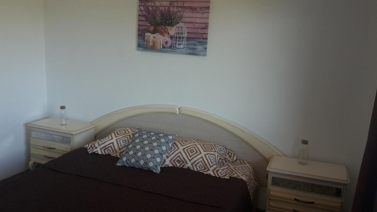 Apartament Mandree コスティネシュティ エクステリア 写真