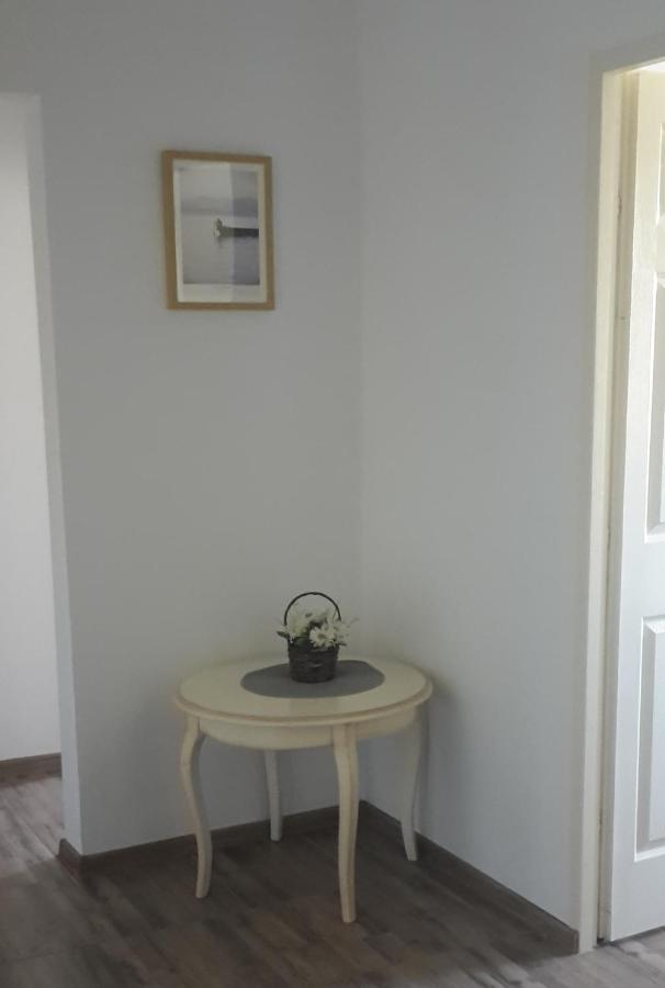 Apartament Mandree コスティネシュティ エクステリア 写真
