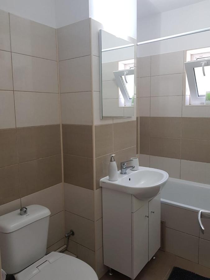 Apartament Mandree コスティネシュティ エクステリア 写真