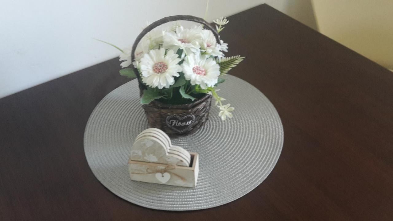 Apartament Mandree コスティネシュティ エクステリア 写真