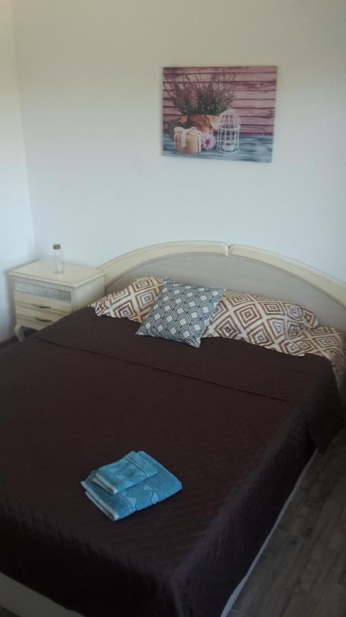 Apartament Mandree コスティネシュティ エクステリア 写真